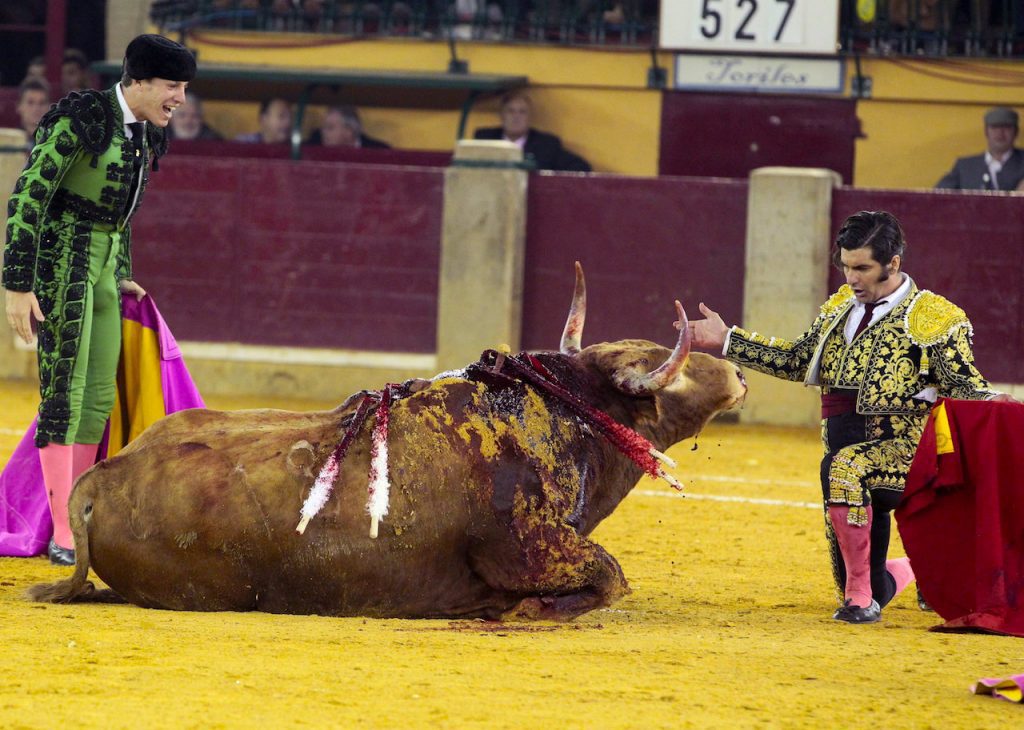 Fuera toros