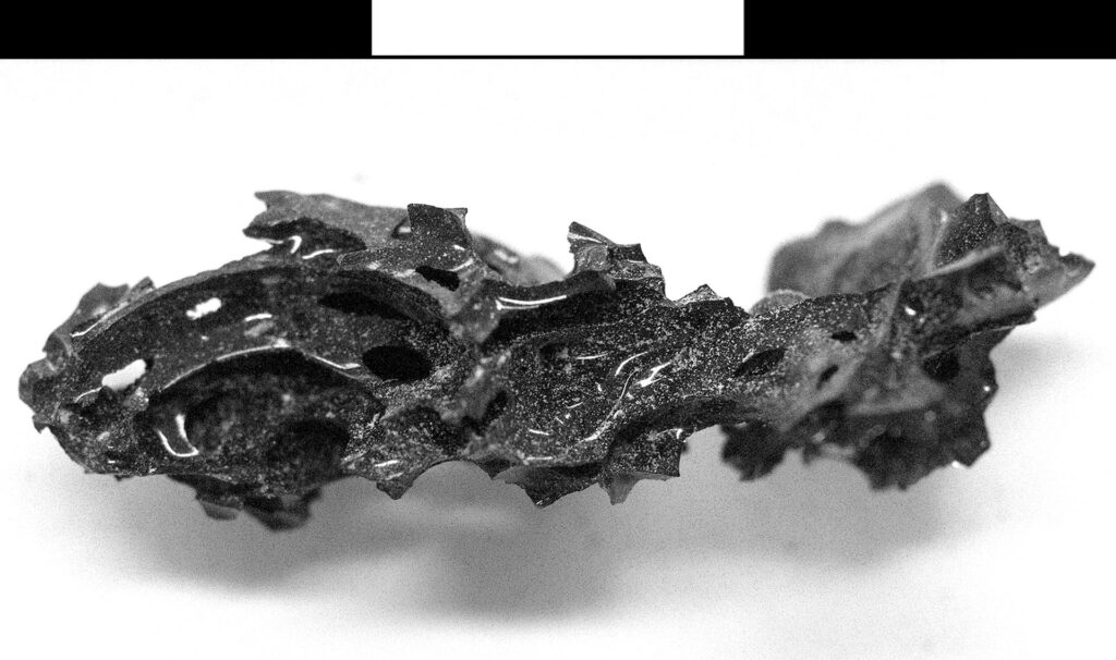Restos del individuo fallecido 'in situ' en su lecho en el Collegium Augustalium, Parque Arqueológico de Herculano en Nápoles, Italia, y de los restos de vidrio orgánico hallados dentro de su cráneo y médula espinal. Los investigadores describen este jueves en la revista Scientific Reports el singular proceso por el que se formaron estos fragmentos de vidrio orgánico oscuro dentro del cerebro de este hombre tras la erupción del Vesubio en el año 79 d.C. Crédito: Pier Paolo Petrone