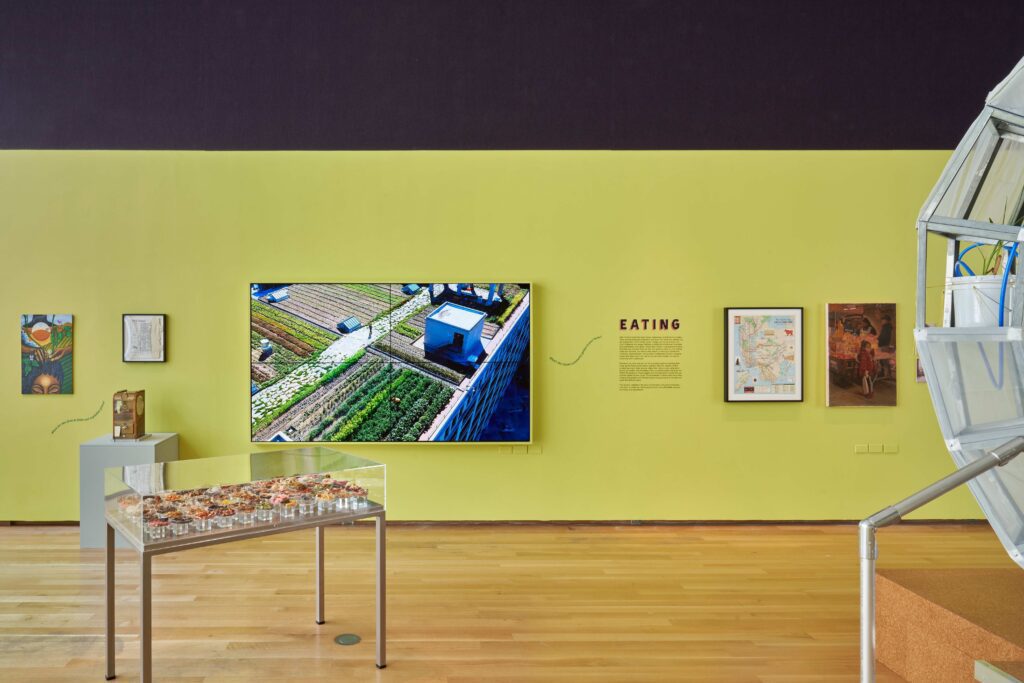 Food-20220911-Installation_Photos-JPEG-Large-015