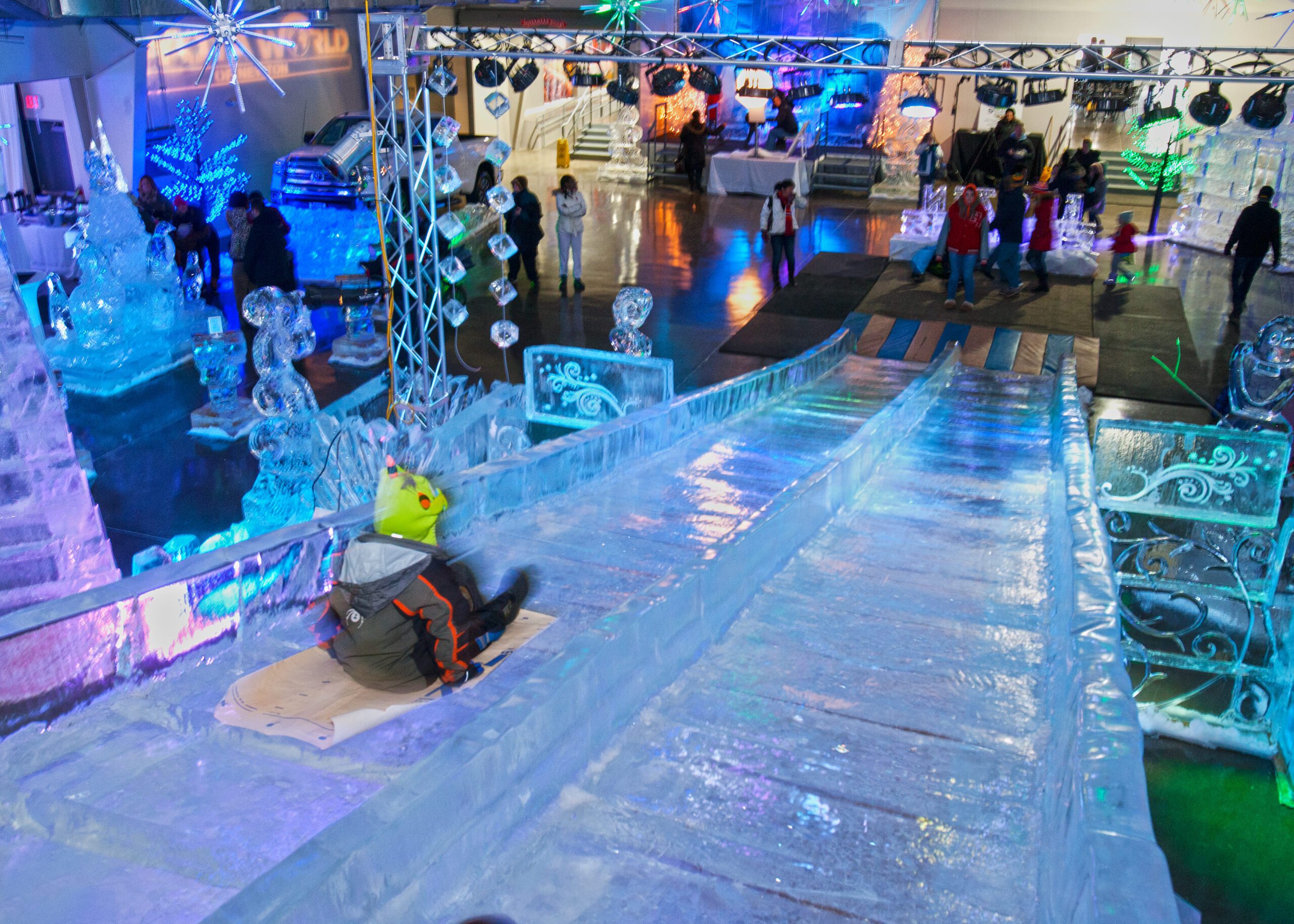 Ice Slide_Frozen in Ice_JPh-183