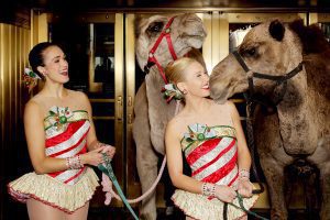 - New York, NY - 11/1/16 - His Eminence Timothy Cardinal Dolan Blesses the Animals from The Christmas Spectacular's "Living Nativity " Scene. Cardinal Dolan and the Radio City Rockettes on Tuesday, November 1, 2016 welcomed the camels, sheep and donkey back to Radio City Music Hall for their starring role in the “Living Nativity” scene in the 2016 production of the Christmas Spectacular Starring the Radio City Rockettes. The Christmas Spectacular Starring the Radio City Rockettes, presented by Chase, will run from November 11, 2016 – January 2, 2017 -Pictured: Jessica Davison, Lauren Renck -Photo by: Marion Curtis/Starpix -Location: Radio City Music Hall