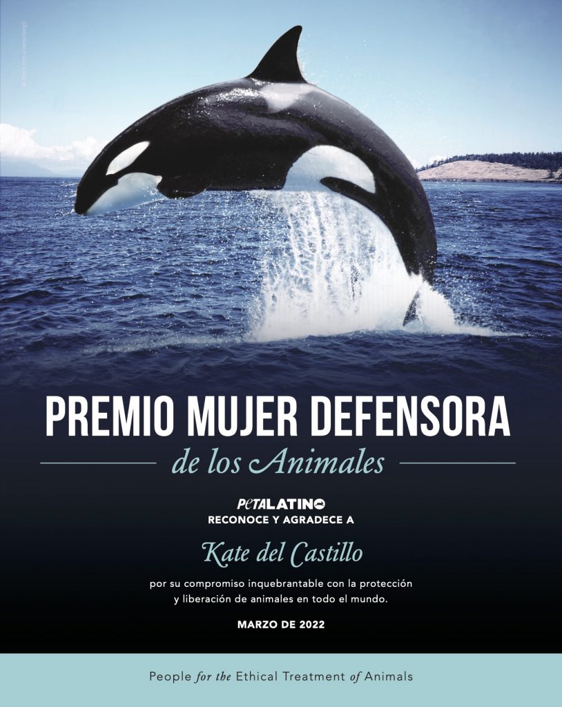 Premio Mujer Defensora Kate Castillo 7.5x9.5 2022_300